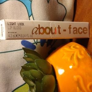 About-face Light Lock Lip Gloss in Payton